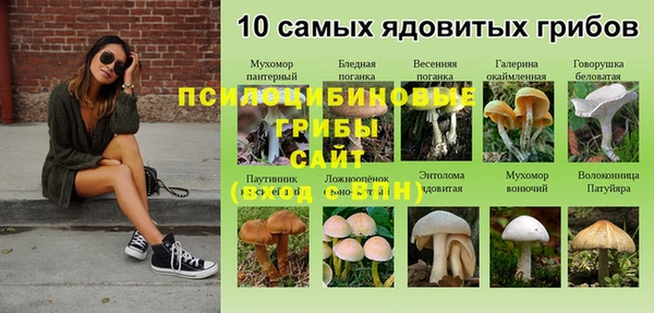 дмт Алексин