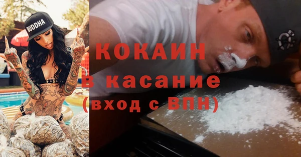 дмт Алексин