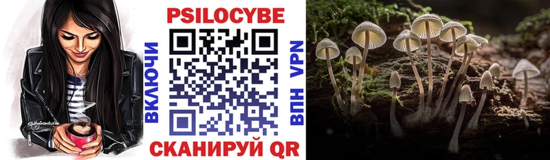 Галлюциногенные грибы прущие грибы  продажа наркотиков  MEGA как войти  Бикин 