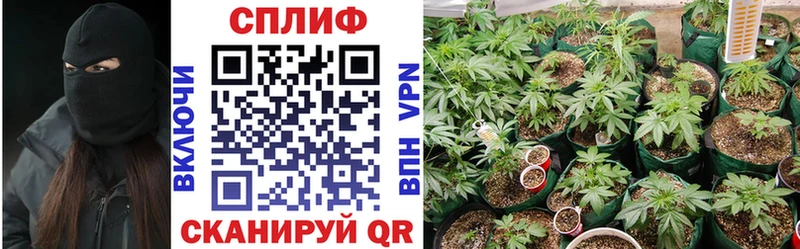 Марихуана LSD WEED  hydra ТОР  Бикин 